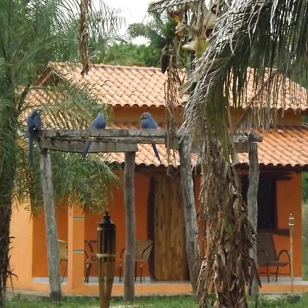 Pousada Reserva Ecologica Jaguar Pocone Luaran gambar