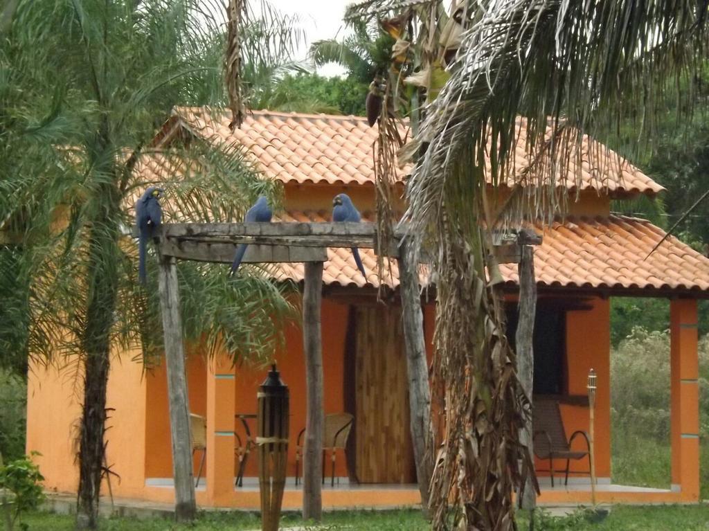 Pousada Reserva Ecologica Jaguar Pocone Luaran gambar